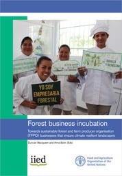 Cover of Forest business incubation: Towards sustainable forest and farm producer organisation (FFPO) businesses that ensure climate resilient landscapes