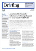 cover Fair fishing: supporting inclusive fiscal reform in fisheries