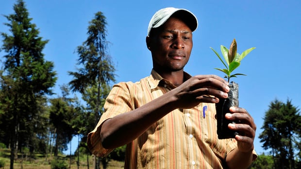 Localising Forest Climate Action International Institute For