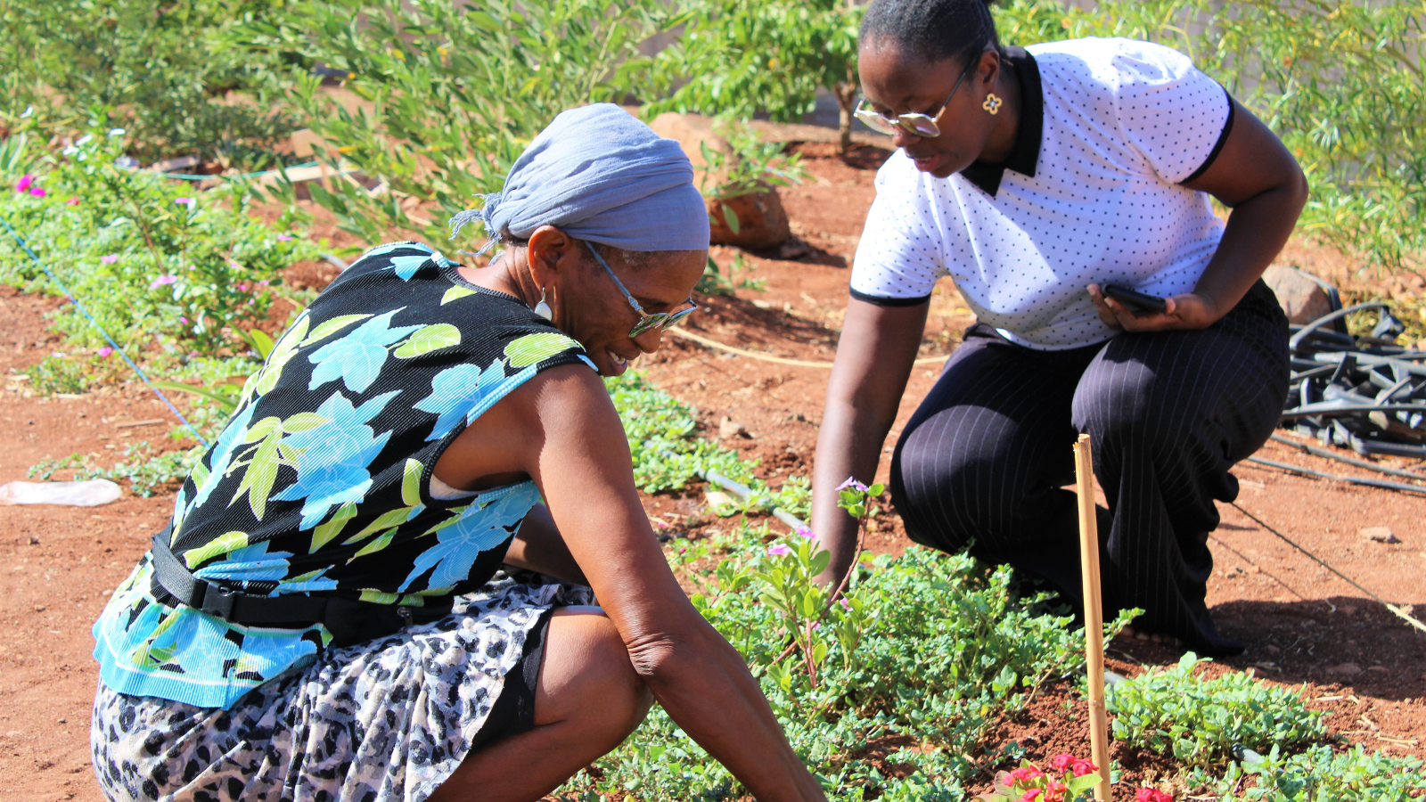 How LDCs and SIDS are building finance tools to take adaptation projects to scale