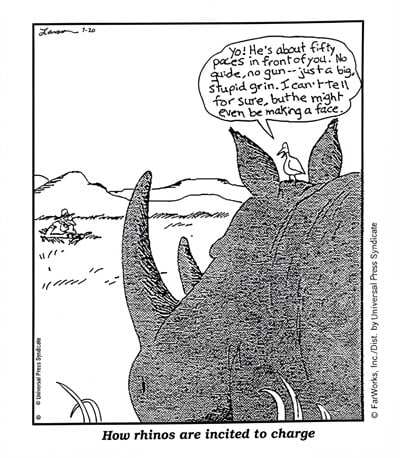 Rhino update