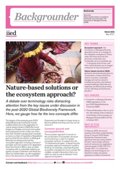 Cover of Nature-based solutions or the ecosystem approach?