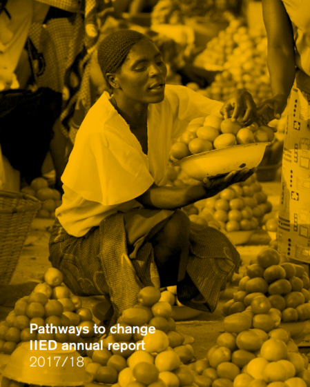 Annual report cover thumbnail