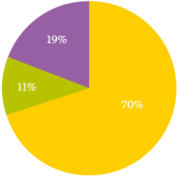 Income by donor type pie chart
