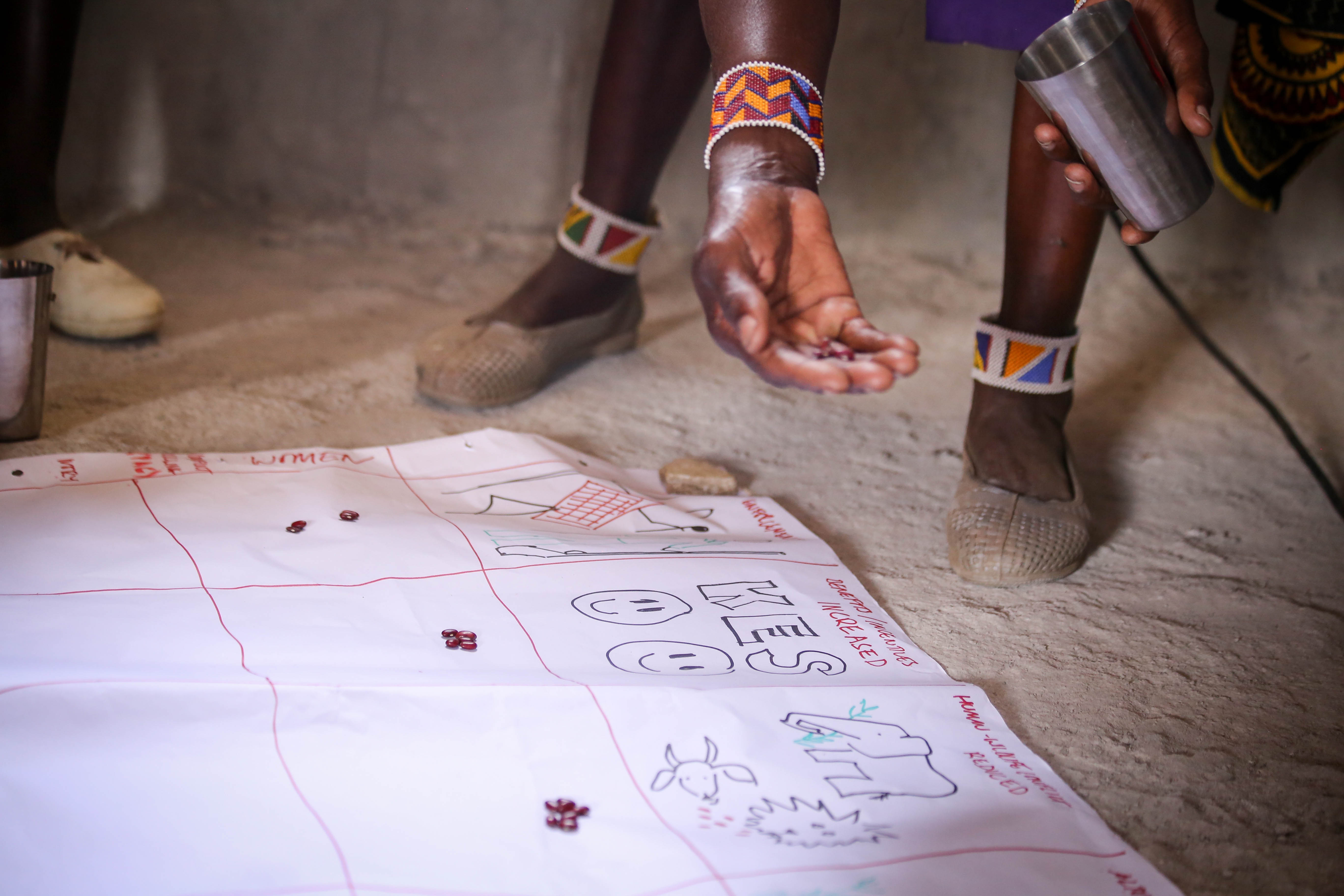A poster with a table drawn on the floor, and a person  throws seeds on each cell