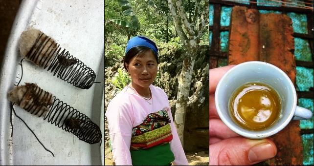 Female beekeeper, Truong Thi Thoi, and a small teacup of honey from her beehive.