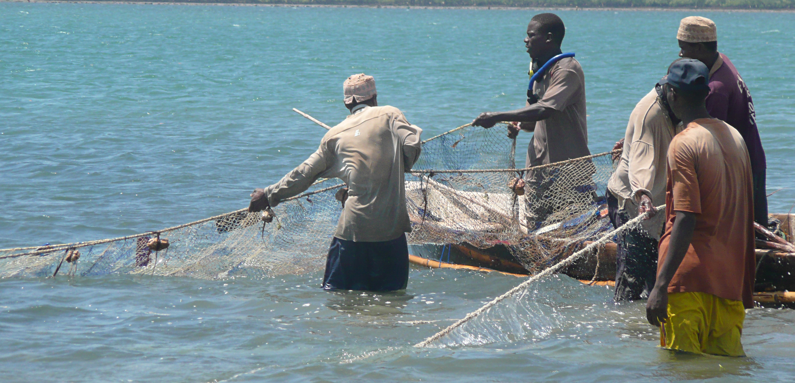 Coastal Fisheries