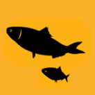 Unsustainable markets, fish icon