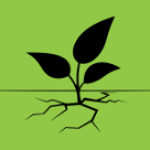 Nature based, plant icon