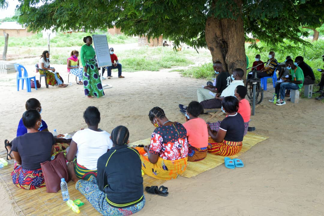 Q&A: Strengthening community voices to tackle illegal wildlife trade in Tanzania and Zambia - Vimarsana News