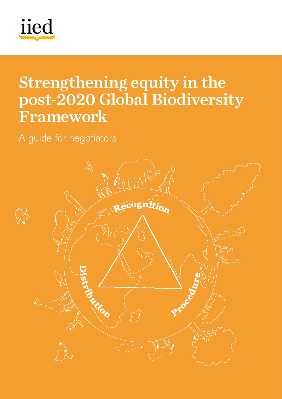 Strengthening equity in the post-2020 Global Biodiversity Framework