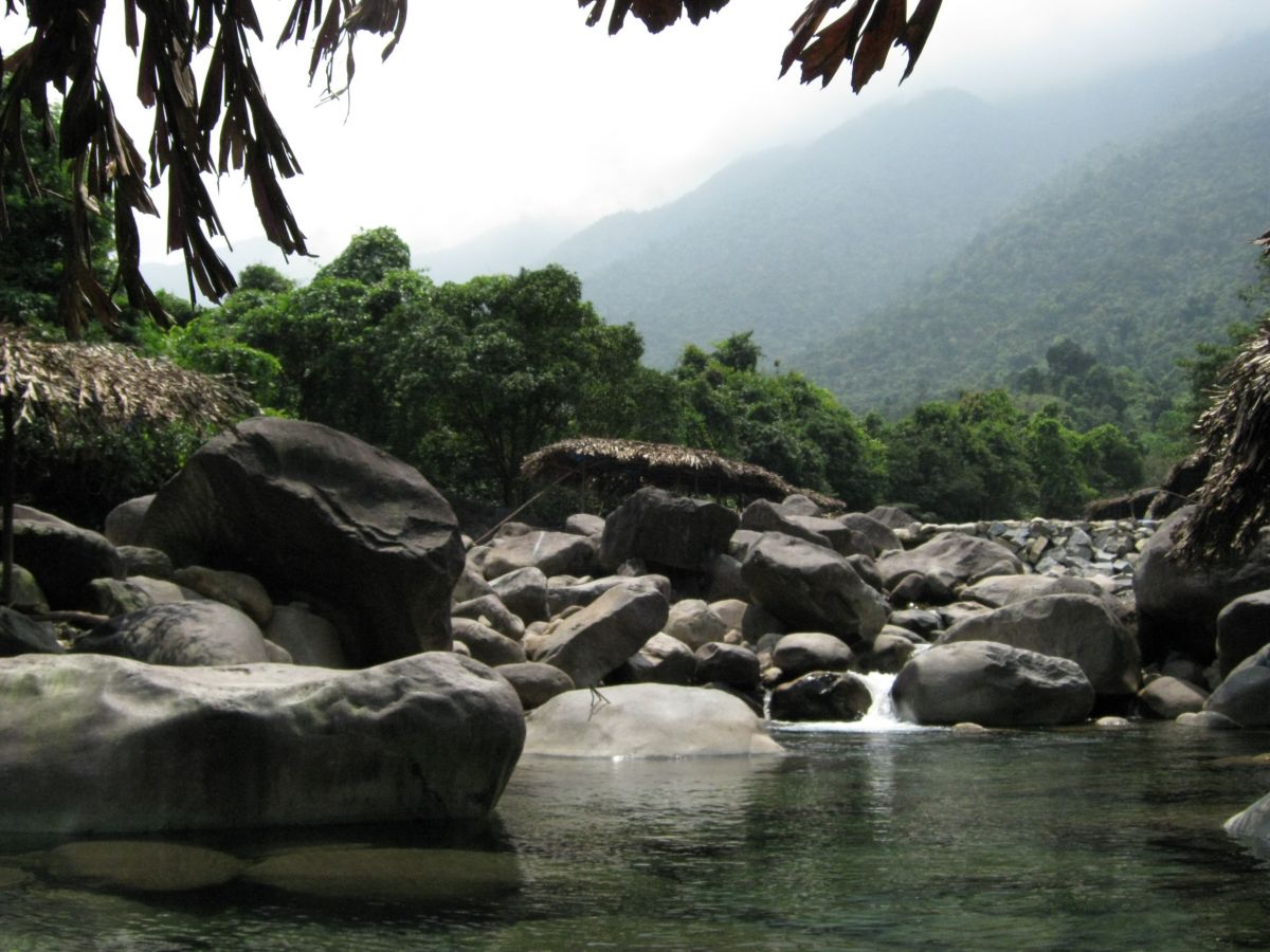 Elephant stream. Credit: Lucile Robinson A mountain stream bordered by forest and rocks, Vietnam.