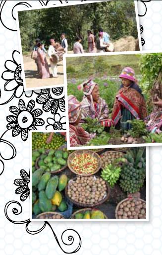 Three photos showing farmners and crops stacked on top of one another
