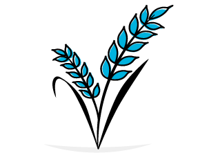 Availability icon: sheaf of wheat or rice 