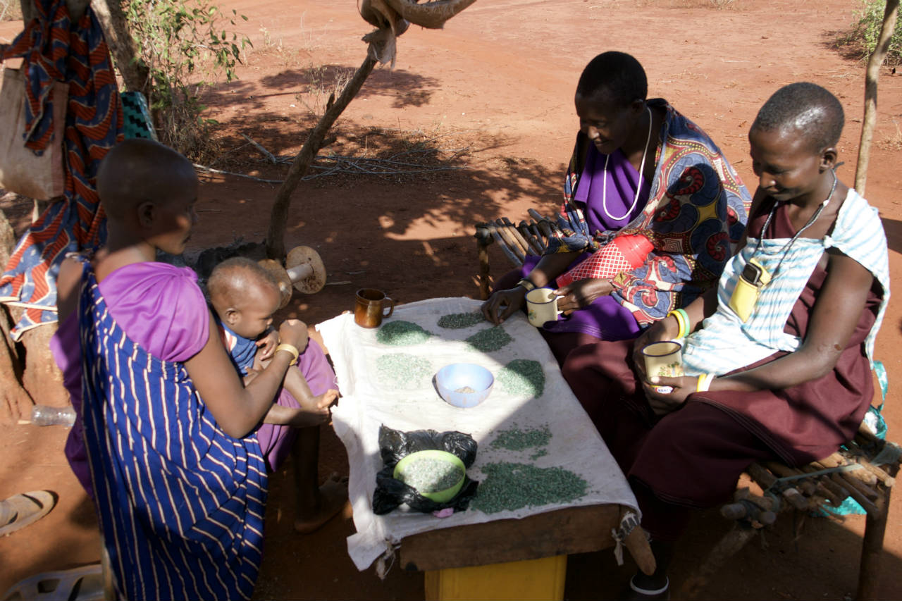 Masaai women sorting gems