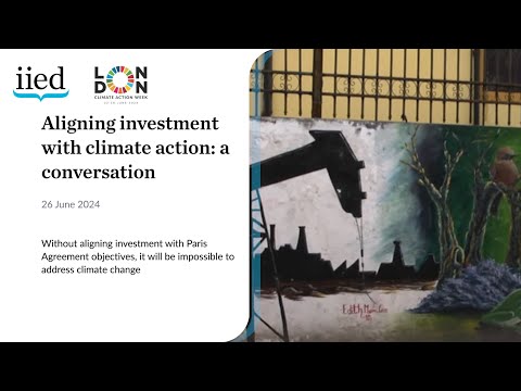 Aligning investment with climate action: a conversation | International ...