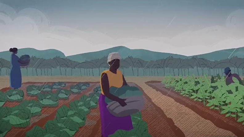 Animation of a woman picking vegetables