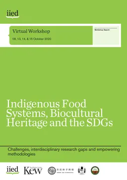 20191iied cover image