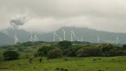 A row of wind turbines on a misty hillside.