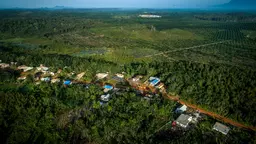 Aerial view of a village surrounded by vegetation