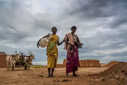 Two women walking, one carrying a big pot, and an ox cart behind them. 