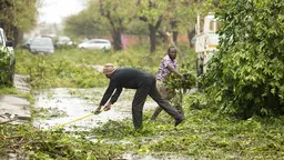Two men carry fallen leaves out of a flooded road.