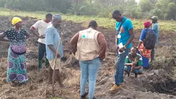 Men and women stand in a ploughed field looking down at the turf.