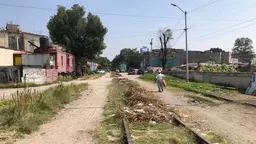 Man walking next to rail tracks covered by weeds