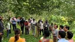A group of people form a circle in the forest. One person is speaking