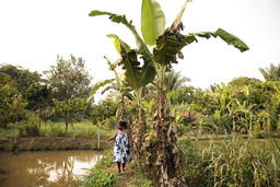 Woman stands next to a palm tree and points at a pond