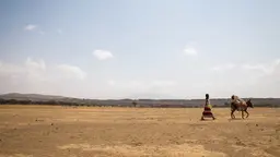 Woman and donkey walk an arid landscape.