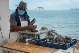 Man, wearing an apron and a face mask, holds shells. Sea behind him. 