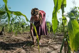 Woman bending over and grabbing plants