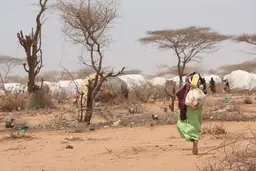 Woman carrying bags walking towards white tents