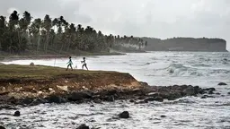 A sea with strong waves hitting the land causing erosion and palm trees bending