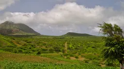 Field with mountains in the background