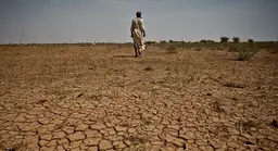 Person walks on arid soils