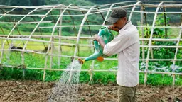 Man holding a watering can pouring water