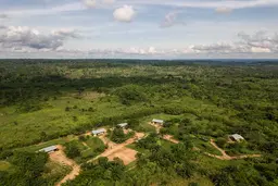 Aerial view of tropical forest