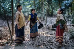 Three woman standing in a forest.