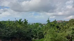 Aerial view of trees with a town and the sea in the backround.