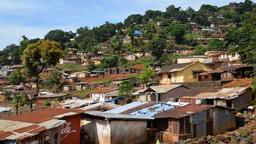 View of informal housing and vegetation in the background.