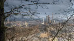 A cement factory in the background covered by tree branches.