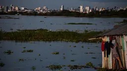 A young woman arranges clothes on the clothesline of her house, which floats on water, while in the distance there is a built-up area and high-rise buildings.