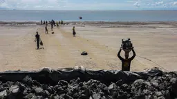A group of people on a beach adding large lumps of clay to an embankment in the foreground.