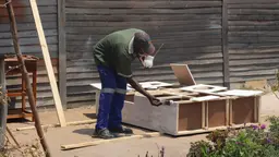 A man wearing a mask bends over a wooden piece of furniture he is making outside.