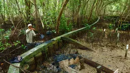 Man standing on wooden bridge in forest holding a shovel.