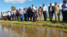A group of people stand on a bank next to a body of water.