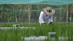 A person wearing a hat is taking notes in a field.