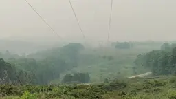 A blanket of smoke obscures a usual picturesque landscape of forest and fields.